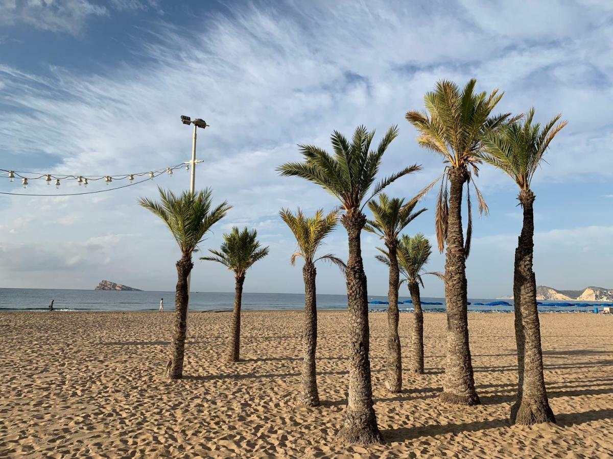 Beach 베니돔 외부 사진